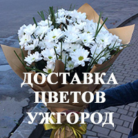 как заказать цветы Ужгород