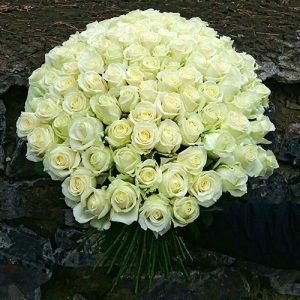 101 белая роза в Буковеле фото