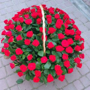 101 червона троянда в кошику Буковель фото