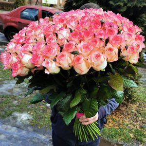 101 біло-рожева троянда Джумілія в Буковелі фото