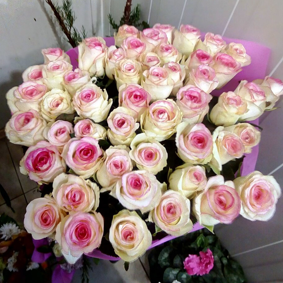 большой букет бело-розовых роз фото