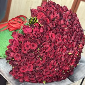 величезний букет 301 червона троянда фото