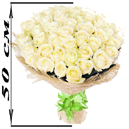 Фото товара 51 белая роза (50 см)