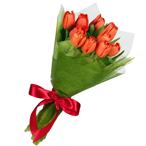 Фото товара 11 красных тюльпанов