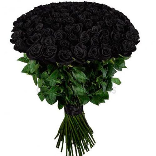 Фото товара 101 черная роза