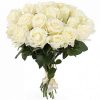 Фото товара 21 белая роза