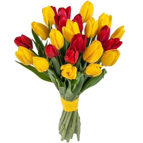 Фото товара 15 червоно-жовтих тюльпанів (зі стрічкою)