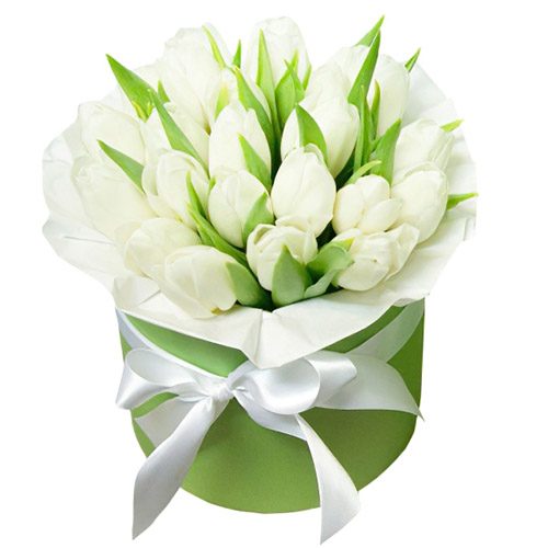 Фото товара 21 белый тюльпан в коробке