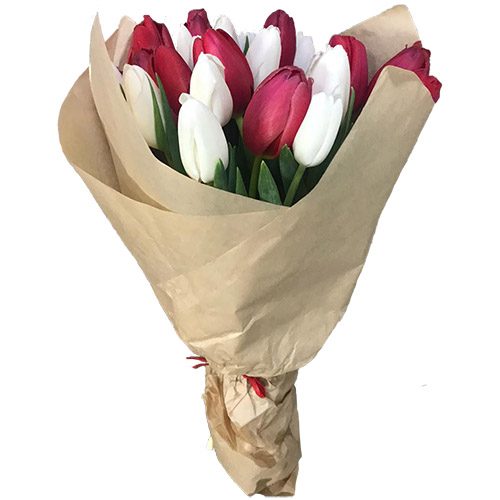 Фото товара 21 червоно-білий тюльпан у крафт