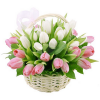 Фото товара 25 нежно-розовых тюльпанов