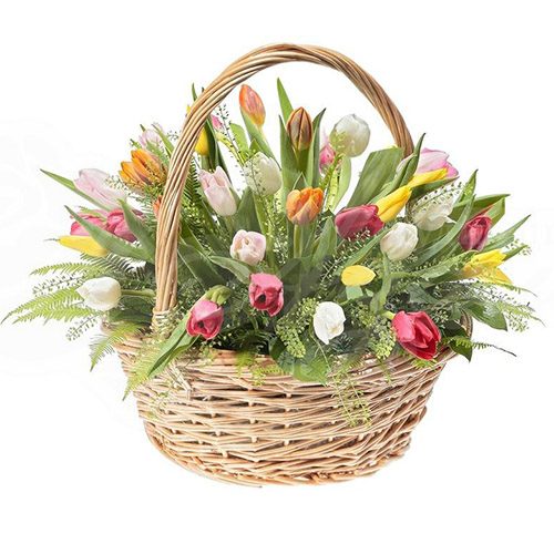 Фото товара 45 тюльпанів асорті в кошику з декором