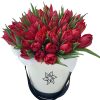 Фото товара 51 червоно-білий тюльпан (зі стрічкою)