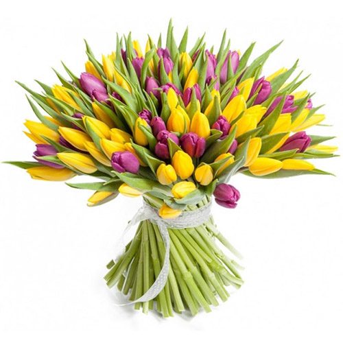 Фото товара 75 фиолетово-жёлтых тюльпанов