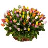 Фото товара 75 тюльпанов микс (все цвета) в корзине
