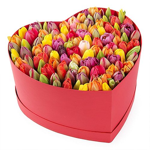 Фото товара 101 тюльпан у коробці серцем