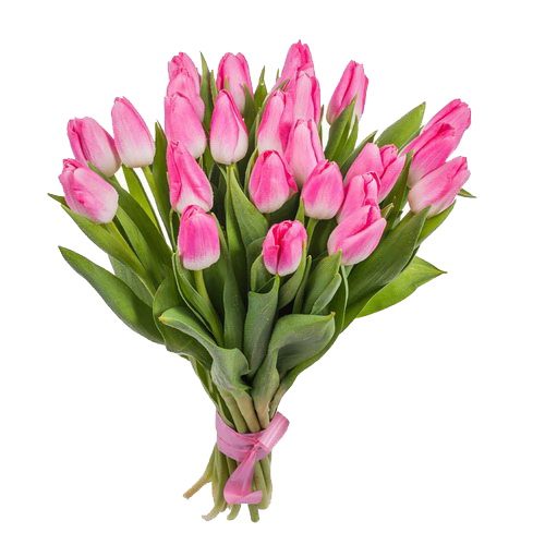 Фото товара 25 рожевих тюльпанів