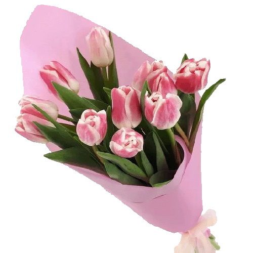 Фото товара 11 рожевих тюльпанів