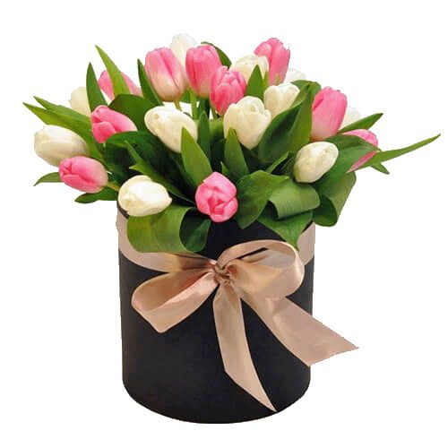 Фото товара 25 тюльпанів у коробці