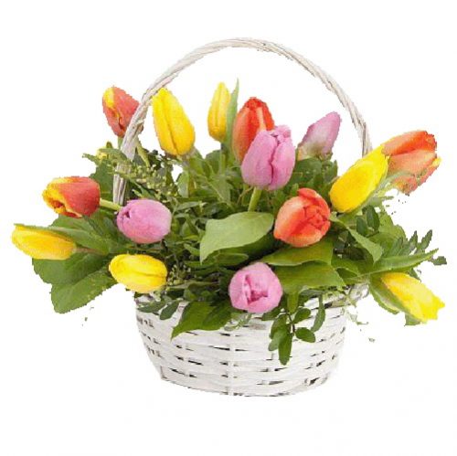Фото товара 15 тюльпанів у кошику