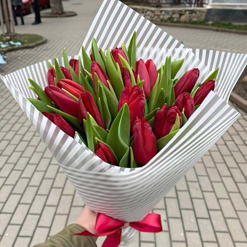 букет красных тюльпанов в Буковеле фото
