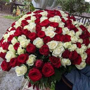 букет 201 червона і біла троянда в Буковелі фото