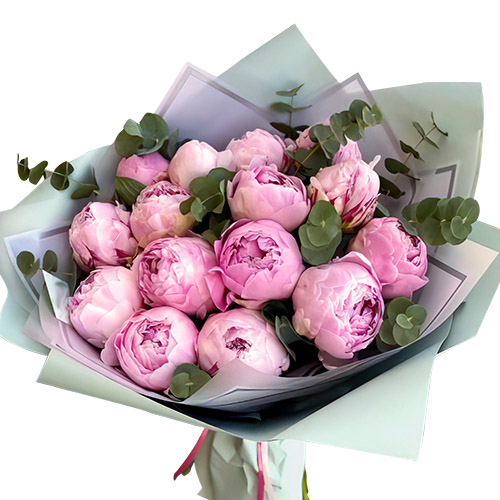 Фото товара 15 светло-розовых пионов с зеленью