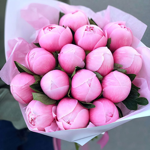 Фото товара 15 розовых пионов