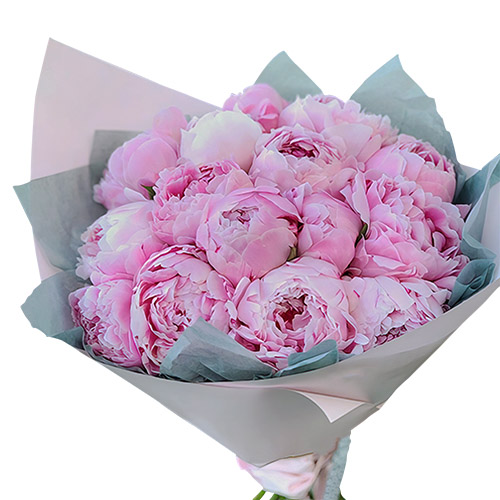 Фото товара 19 розовых пионов