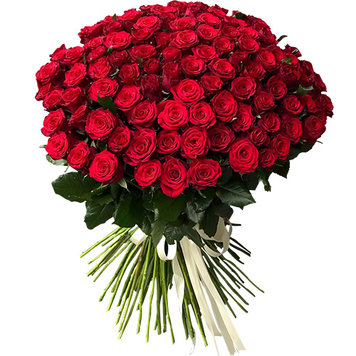 фото товара 101 роза красная | «Буковель Роза»