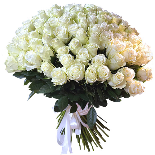 фото товара 101 біла імпортна троянда | «Буковель Роза»