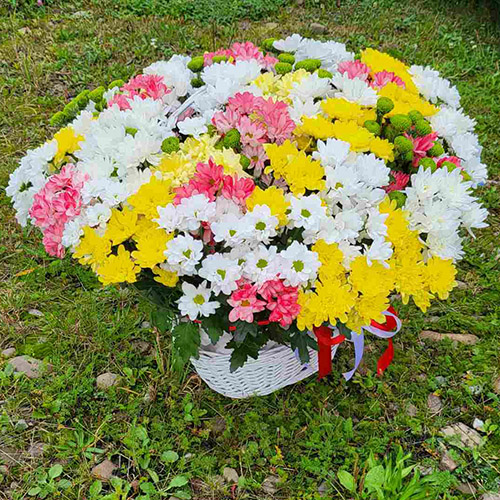 кошик хризантем в Буковелі фото