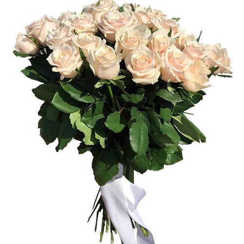 Фото товара Букет із 33 кремових троянд